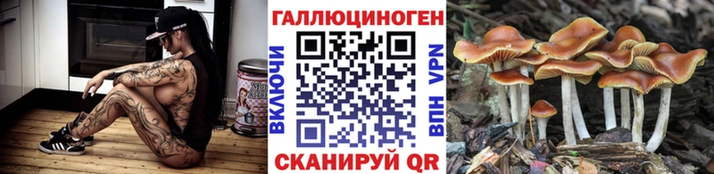 Галлюциногенные грибы мицелий Нерчинск